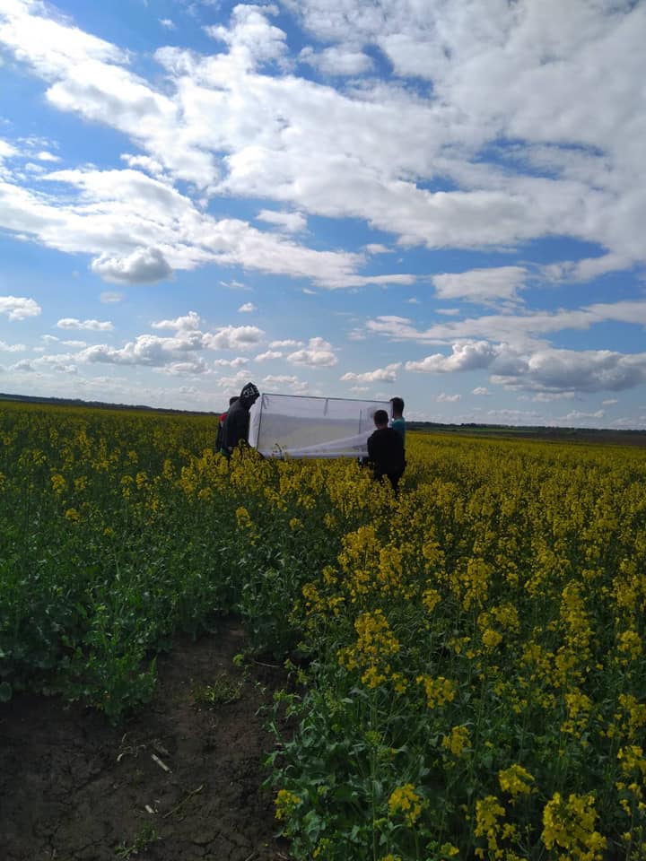 Експериментальні поля